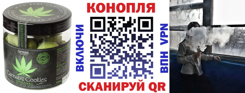 Купить закладки  Жирновск  Cannafood конопля 