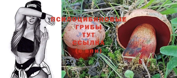 мяу мяу мука Каменск-Шахтинский