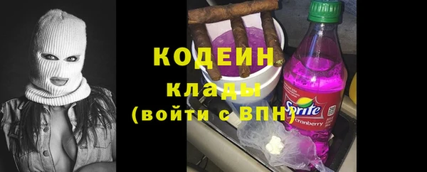 дживик Инта