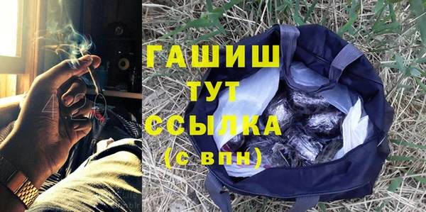 дживик Инта