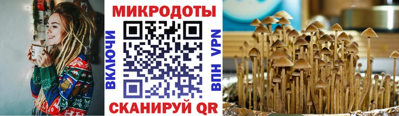 Купить где  Жирновск  Псилоцибиновые грибы прущие грибы 